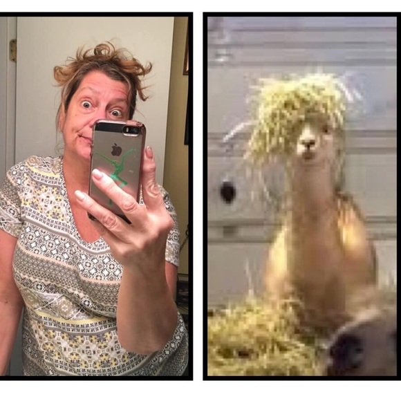 Meet the Posher! - Picture 2 of 16